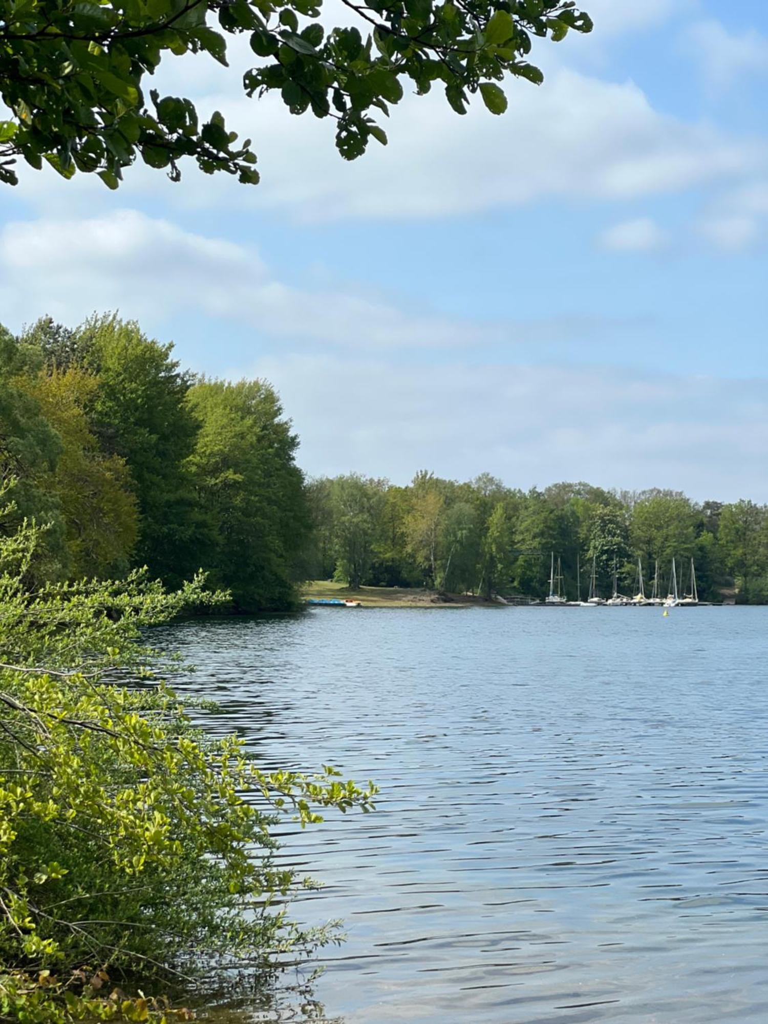 Cottage & Garden & Sauna Am See Веттринген Экстерьер фото